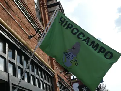 Hipocampo Children's Books in Rochester, NY