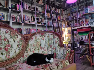 Libelula Books & Co. in San Diego, CA