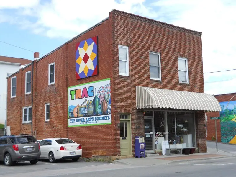 Plott Hound Books in Burnsville, NC