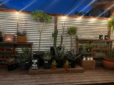 Bel Canto Books in Long Beach, CA