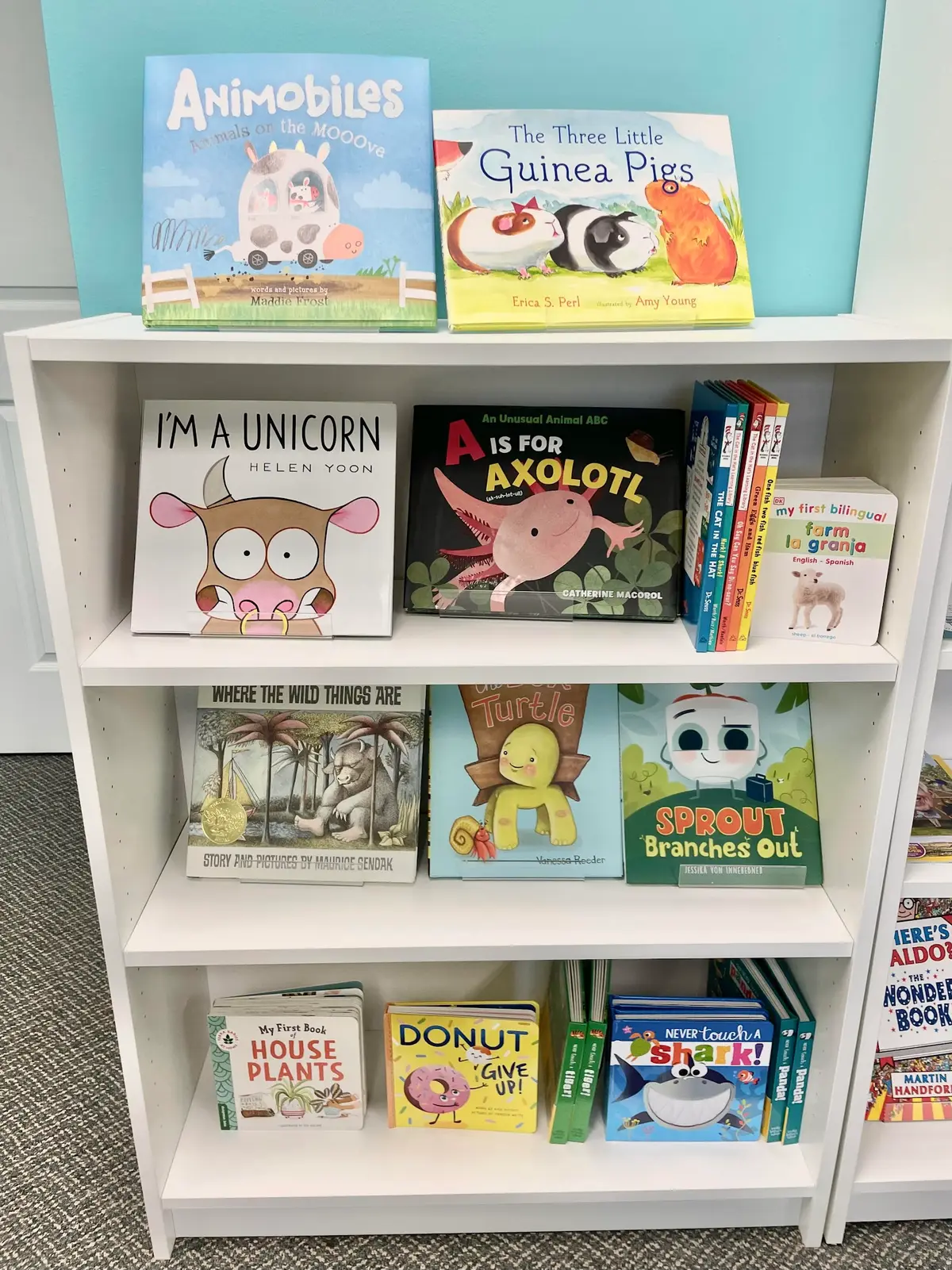A Little Bookish in Ooltewah, TN