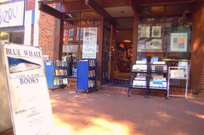 Blue Whale Books, Inc in Charlottesville, VA