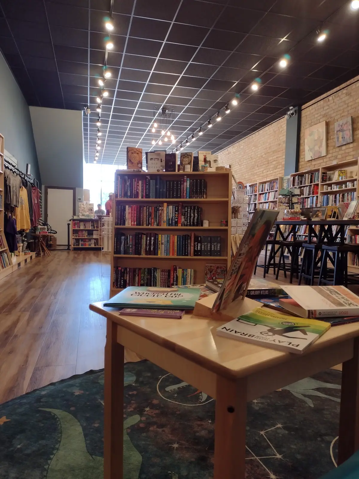 Bluebird Books (MN) in Detroit Lakes, MN