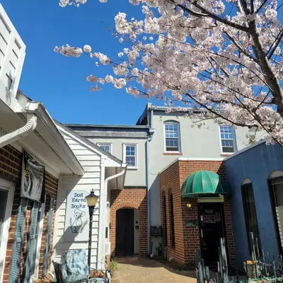 Dog Eared Books Hampton in Hampton, VA