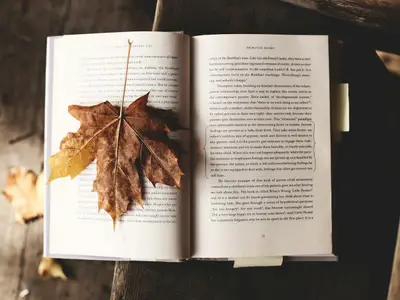 Comal Culinary Books & Goods in Phoenix, AZ