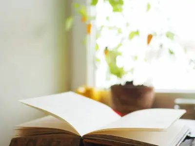The Book Vine for Children in McHenry, IL